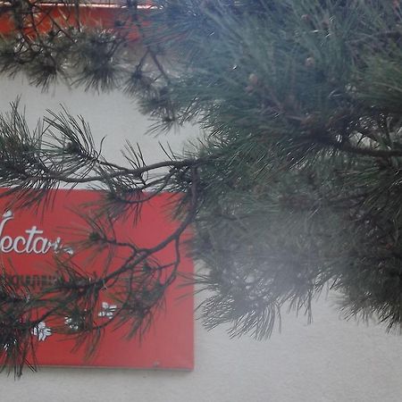 Nectar Hotel Dilidżan Zewnętrze zdjęcie