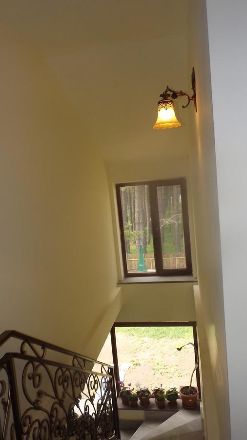 Nectar Hotel Dilidżan Zewnętrze zdjęcie